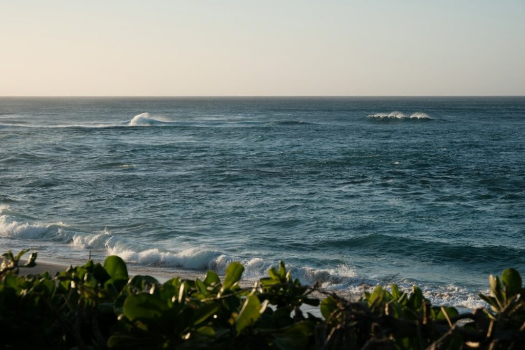 Hawaii Certificate of Good Standing: DCCA BREG Business Verification — photo by @sahe_201 on Unsplash