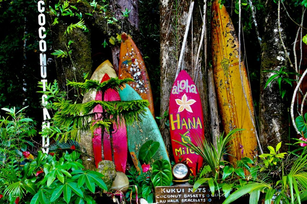 Oahu vs Maui: Which Suits Your Budget, Pace, and Interests — photo by @palmspringsdon on Unsplash