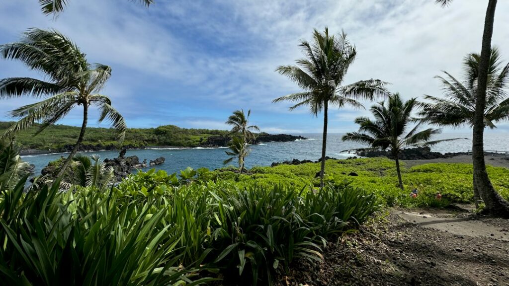 Hawaii Death Certificate: DOH OHSM Vital Records Order Path — photo by @cb27 on Unsplash