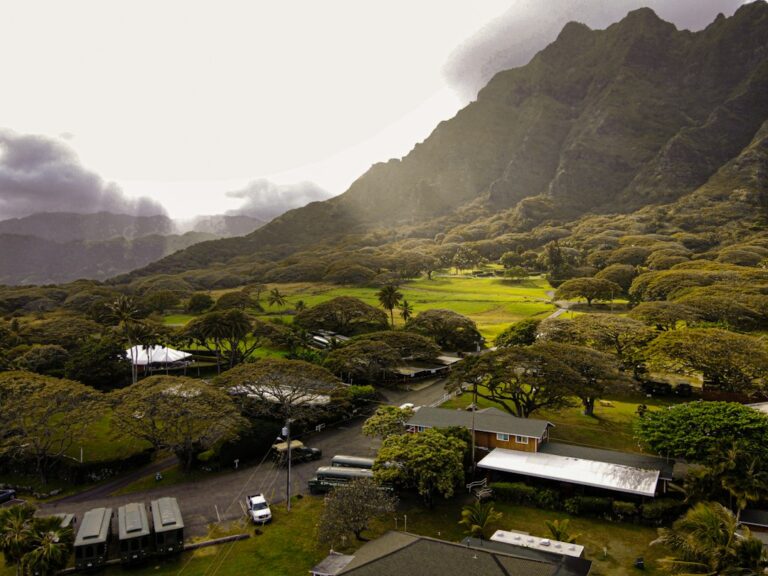 Hawaii RETITC Solar Credit on Form N-342: Claiming the 35% Photovoltaic Credit — photo by @ivanarc on Unsplash