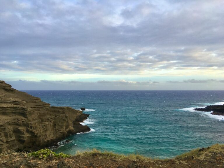 How to Volunteer in Hawaii: A Comprehensive Guide — photo by @skarlettebaron on Unsplash