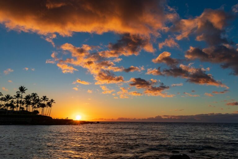 Hawaii HECO Customer Self-Supply Tariff: Solar Without a Battery — photo by @thirdcoastdad on Unsplash