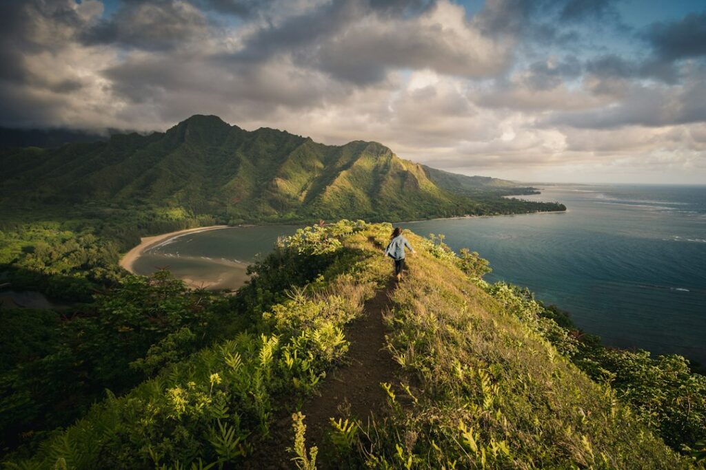 Maui Hikes by Difficulty: Waihee Ridge, Pipiwai, and Haleakala — photo by @petervanosdall on Unsplash