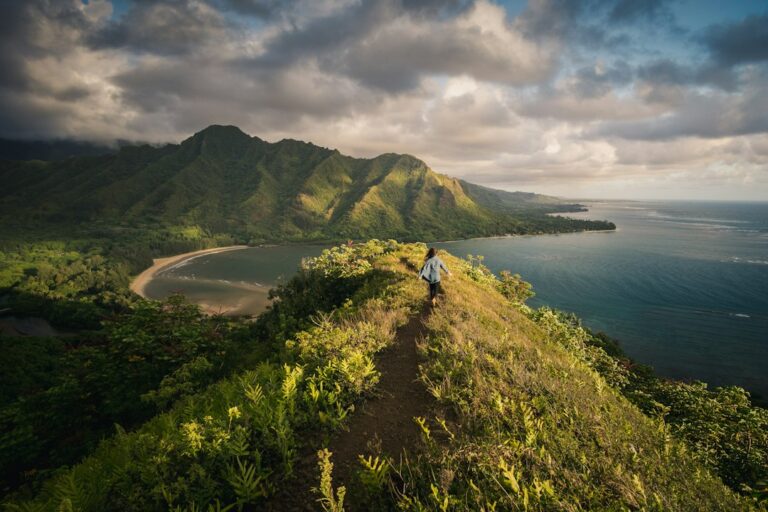 Maui Hikes by Difficulty: Waihee Ridge, Pipiwai, and Haleakala — photo by @petervanosdall on Unsplash