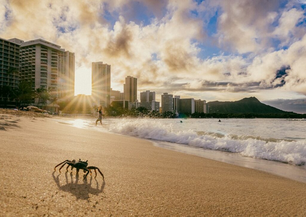 Driving in Hawaii: Road Rules, Etiquette, and What Surprises Mainlanders — photo by @nhuenerfuerst on Unsplash