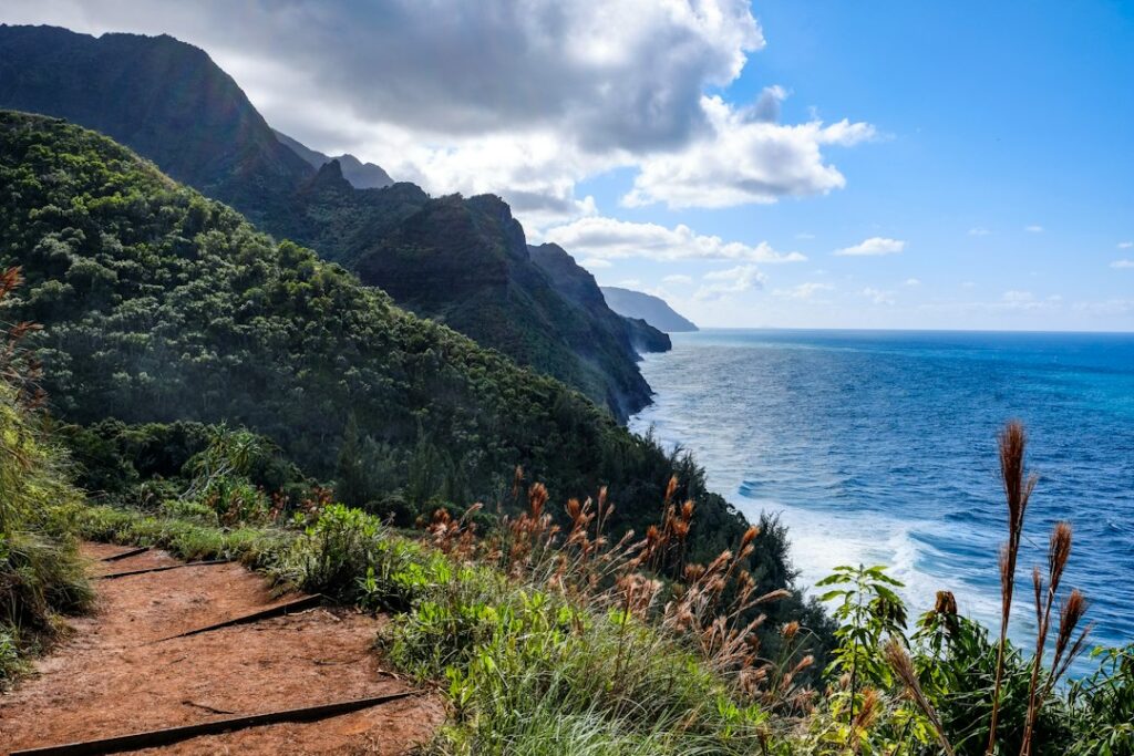 12 Best Beaches on Kauai (2026): A Ranked List With North-South Picks — photo by @maltephotos on Unsplash