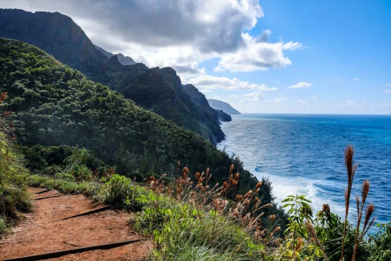 12 Best Beaches on Kauai (2026): A Ranked List With North-South Picks — photo by @maltephotos on Unsplash