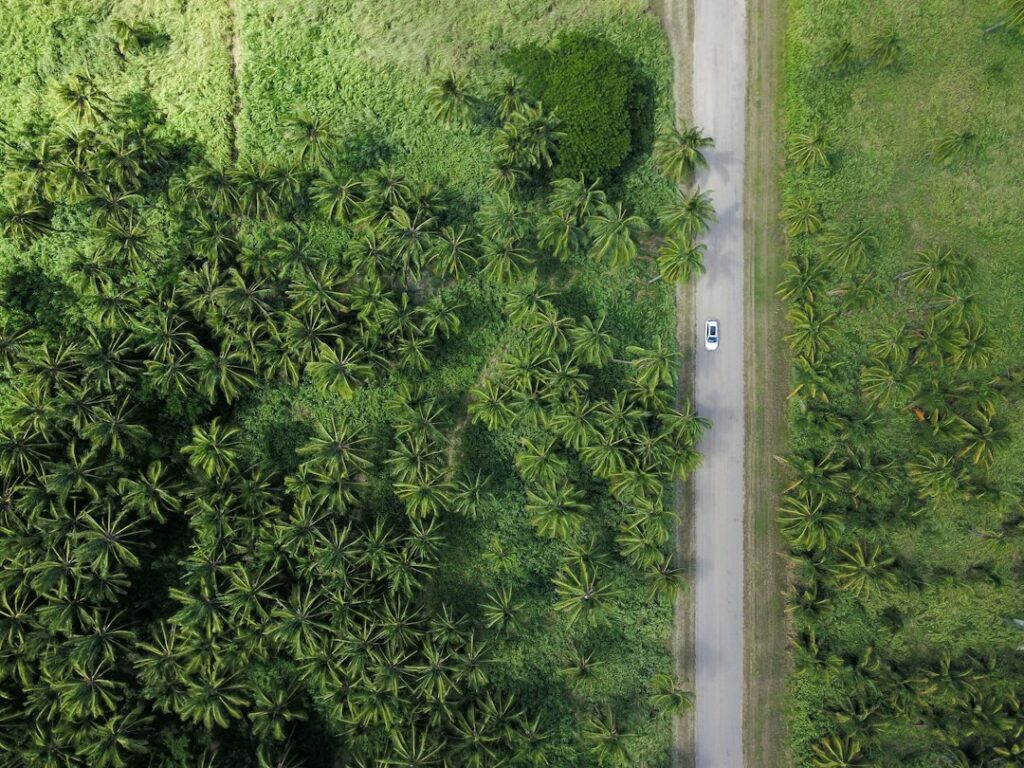 Hawaii OSDS Permit: DOH Wastewater Branch Approval for Septic and ATU Systems — photo by @mganeolsen on Unsplash