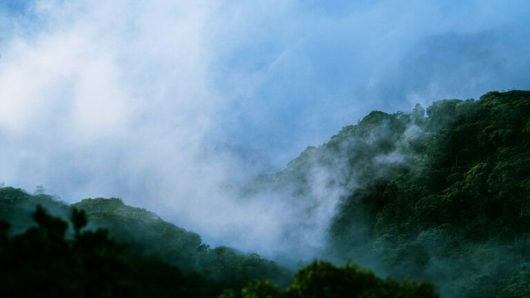 windward vs leeward hawaii — photo by @srikanta on Unsplash