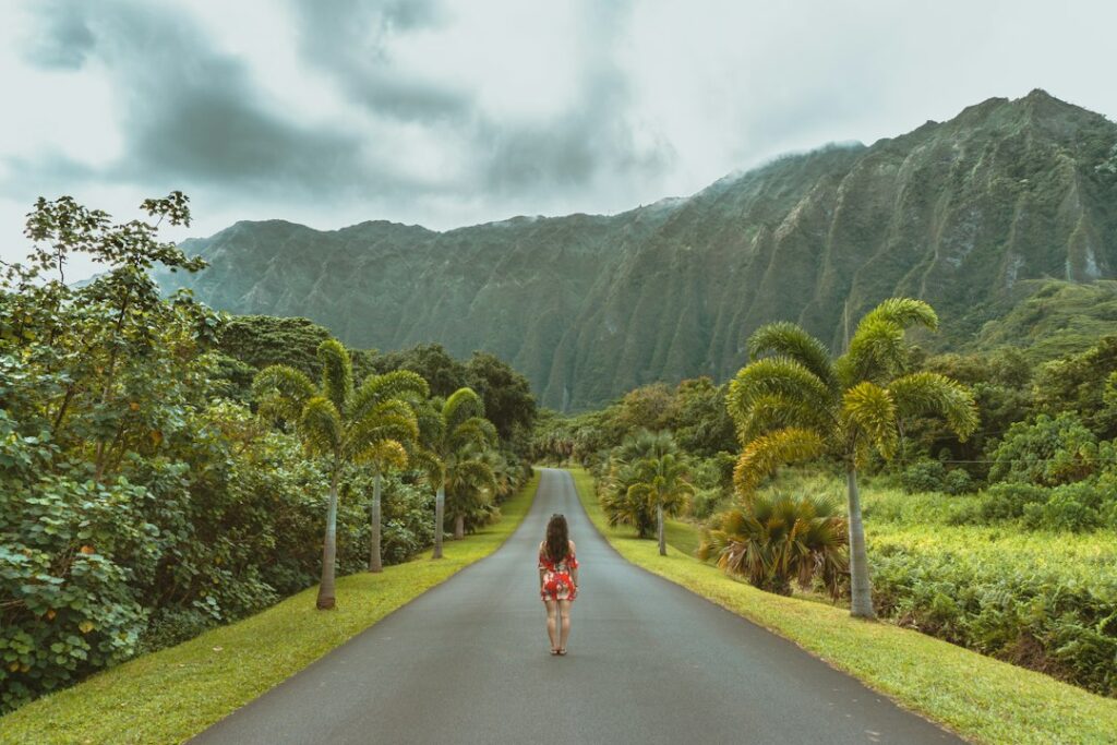 Best Hikes on Oahu: Diamond Head to Kaena Point by Difficulty — photo by @wild_away on Unsplash