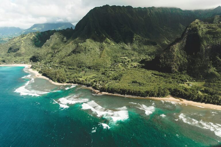 Hawaii Aquaculture Lease via DLNR: Pond Site Application Process — photo by @tcraye on Unsplash