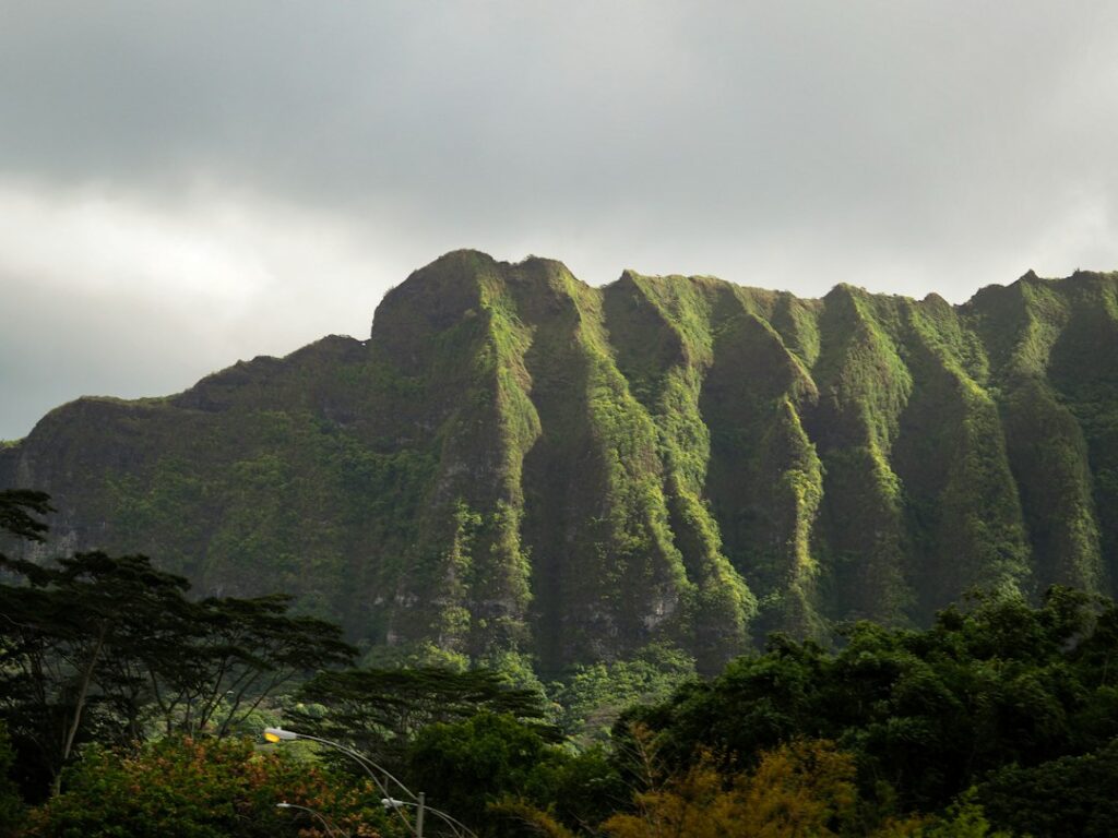 Hawaii Catchment Tank Sizing by District: 10,000 vs 25,000 Gallon Decisions — photo by @cruik on Unsplash