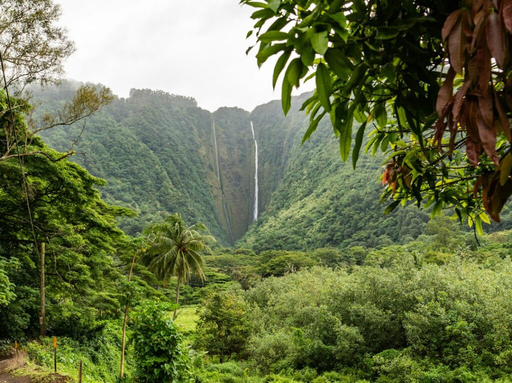 Hanapepe Kauai Friday Art Night Township Cluster — photo by @zmart on Unsplash