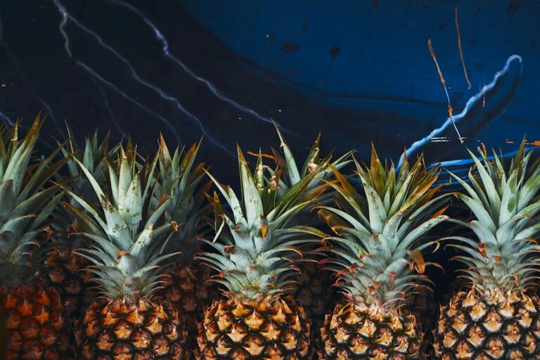 Paia Food Truck Cluster: Baldwin-Adjacent Lunch Stops Cadence — photo by @lucabravo on Unsplash