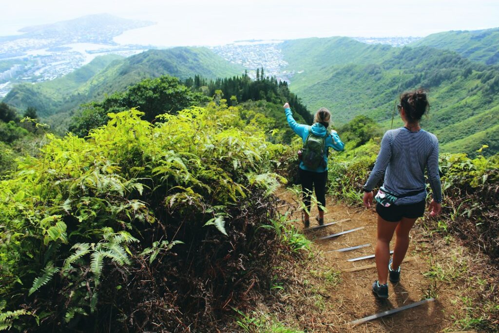 Waimea Canyon Hikes: Kokee State Park Trail Difficulty Tiers — photo by @drewfarwell on Unsplash