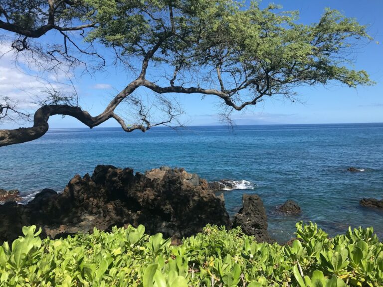 Queens Bath Princeville: Winter Surf Closure and Lava Descent — photo by @shannonshots on Unsplash