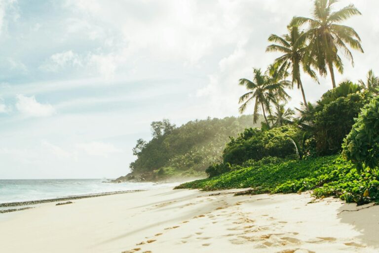 hawaii vs caribbean — photo by @necone on Unsplash